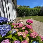 Semesterbostad L'epic'rie - Maison Familiale De Charme Avec Jardin - Cote D'albatre Saint-Martin-aux-Buneaux